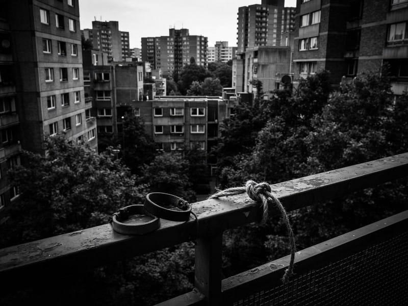 Leather wristbands and a knotted piece of rope resting on a metal balcony railing with brutalist residential apartment towers and trees in the background.