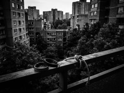Leather wristbands and a knotted piece of rope resting on a metal balcony railing with brutalist residential apartment towers and trees in the background.